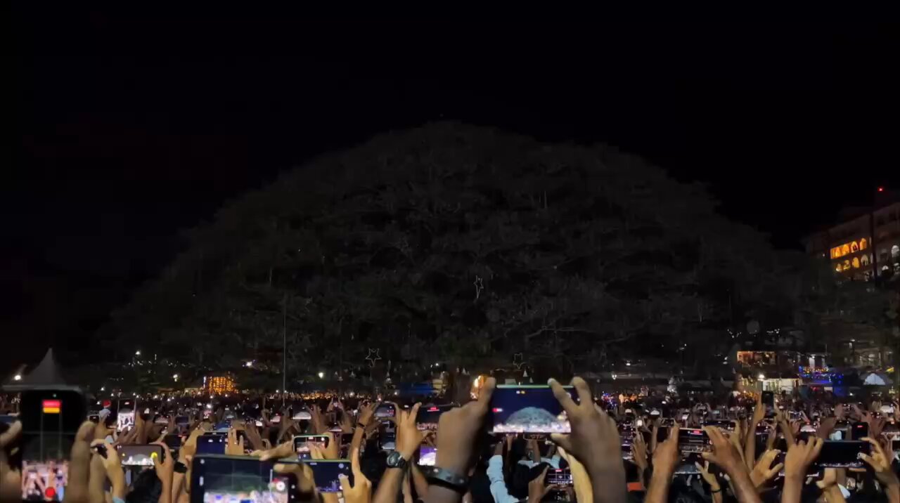 🇮🇳The Indian Kochi tree eclipsed all other Christmas trees this year.