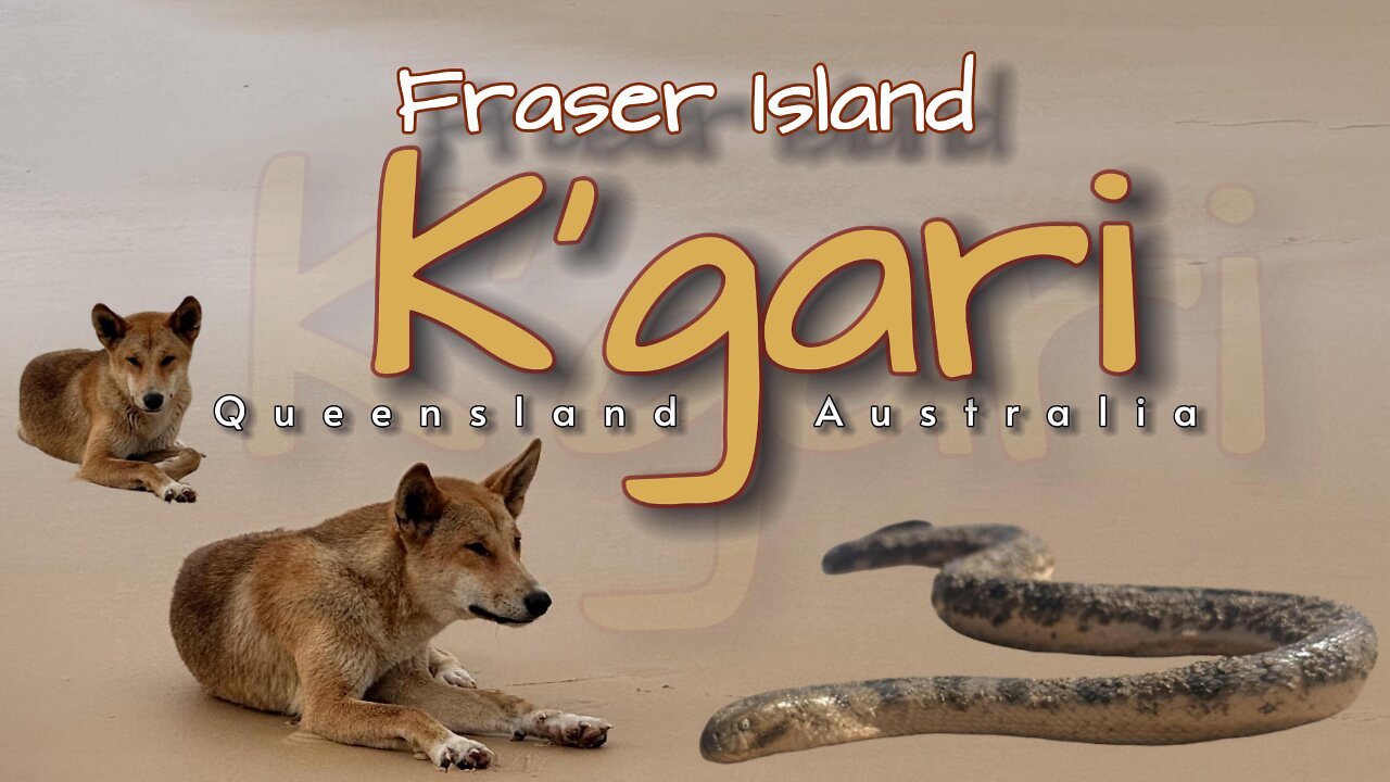K'gari - Fraser Island - Queensland Australia