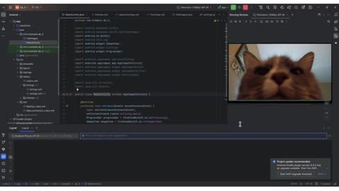 Client Work (Lab) | CST2335 Lab 6 Android TV App Development with AsyncTask | Algonquin College