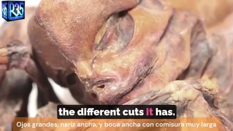 👽🧬 Fernando Outlines DNA Results: 94% Human! | TheTruthAbove