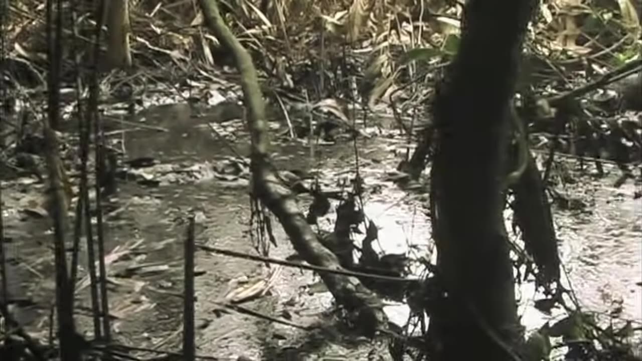 Zeitgeist.Moving.Forward