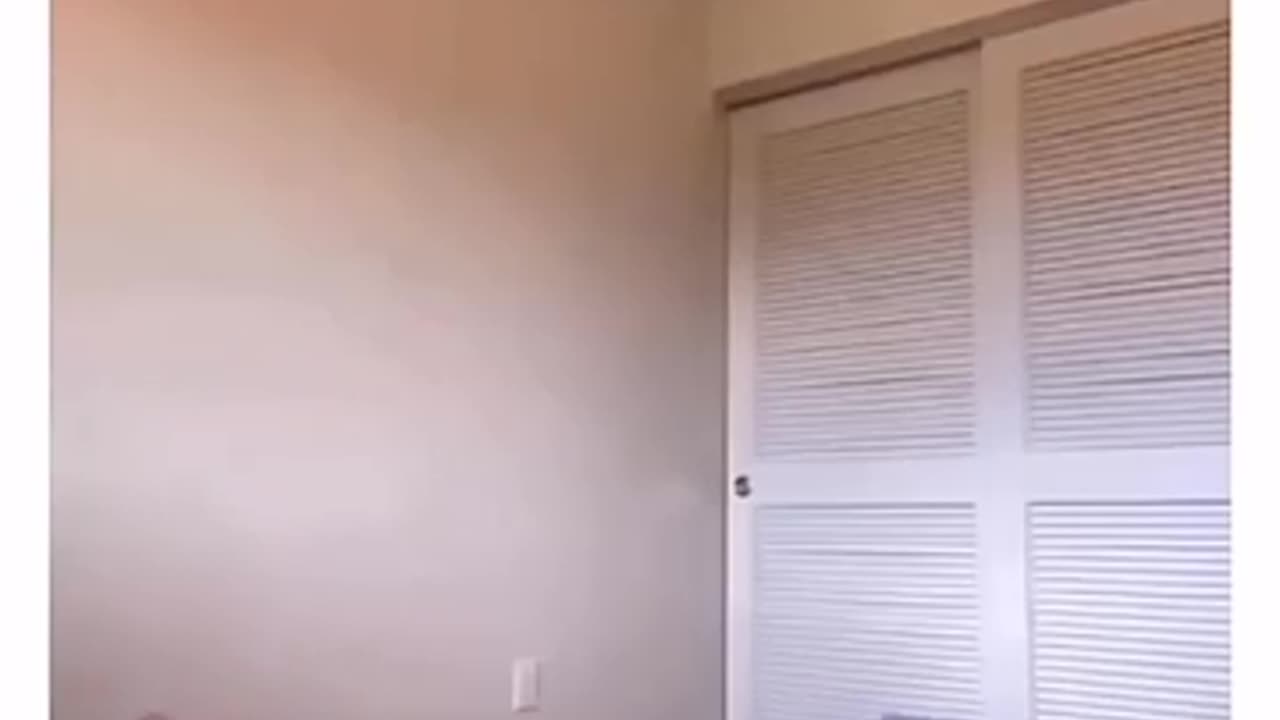 Funniest video that I found on internet 😁😁