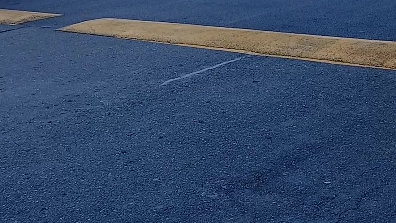 Lady Has a Major Crashes Out in a Grocery Store Parking Lot