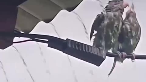 , incluso cuandti mismo. Ellos te impulsarán hacia el éxito. 🤯 #vir al #reels #shorts #short #fyp