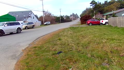 I was almost killed today 1/21/25: