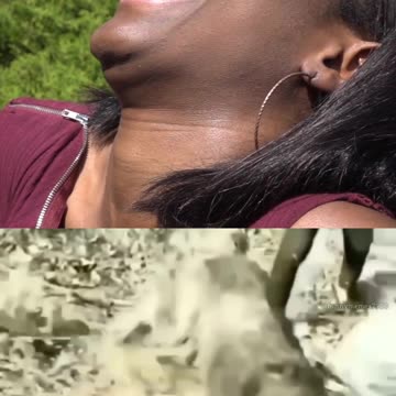 A dog returns to its vomit" That's from Frying Pan To Fire 🤣😂😆😂