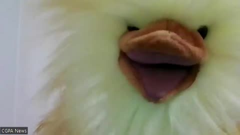 Henrietta Adios to Chrystia Freeland...