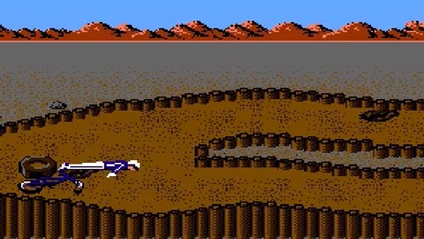 （NES）California Games