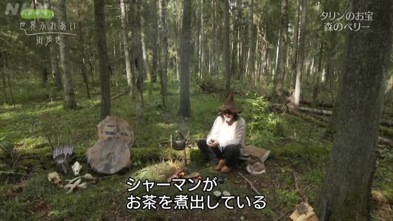 世界ふれあい街歩き 自然を愛するIT先進の街 タリン ～エストニア～