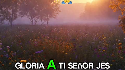 🙏✨ Evangelio de hoy Viernes, 28 de Noviembre del 2025✨🙏