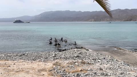 AI Prompt Engineering for Secure, High Quality App Development