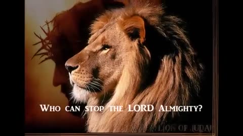 The Lion and the Lamb - Big Daddy Weave