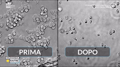 Etichette: la regola dei 5 ingredienti