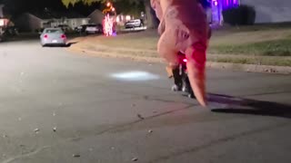 😂💡 Dino Racer is Epic! | FunFM