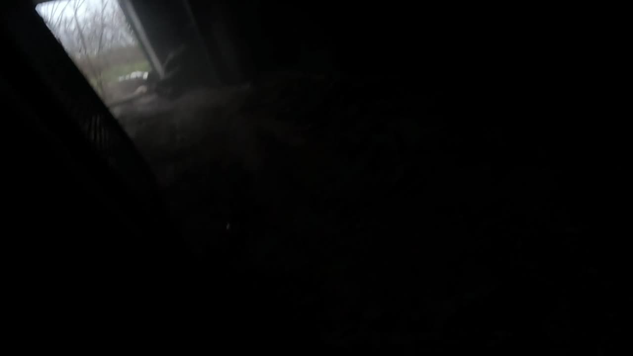 Wounded soldier kills two soldiers