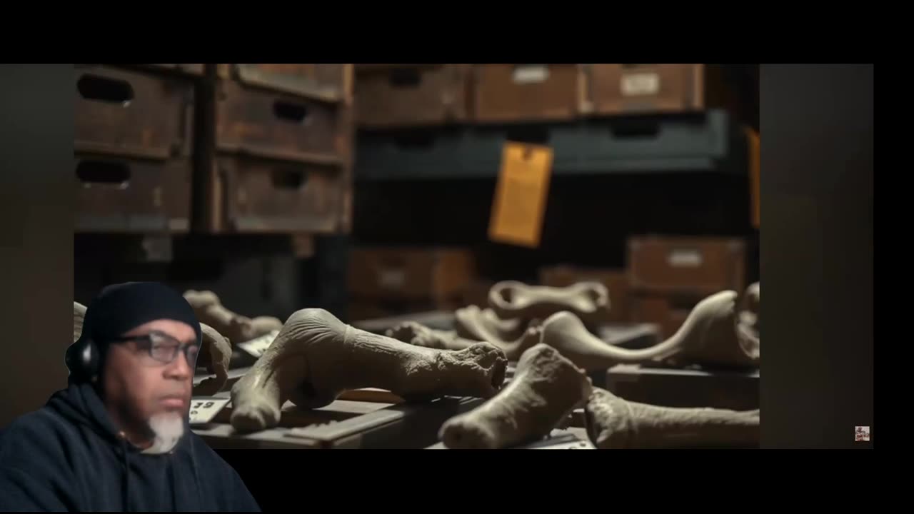 Scientists Got This Wrong | The Nanotyrannus Mistake Explained