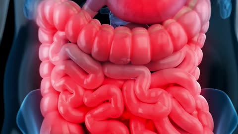 Weird Fun Facts about Lego You Should Know #realfacts #legoart #medicaleducation