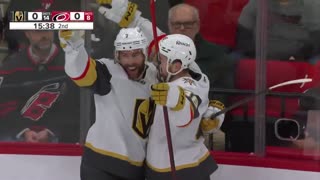 Vegas Golden Knights - Rock you like a Hertl-cane 🐢