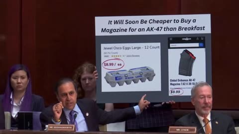 Dem hits Trump on egg prices at Oversight hearing