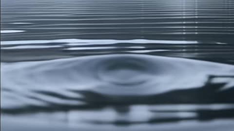 🌊😱 Would You Like to Swim Together? The Terrifying Invitation | TheHauntingHour