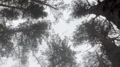 🩸❤ Ukraine War | Supporting Jen, the Combat Medic | RCF