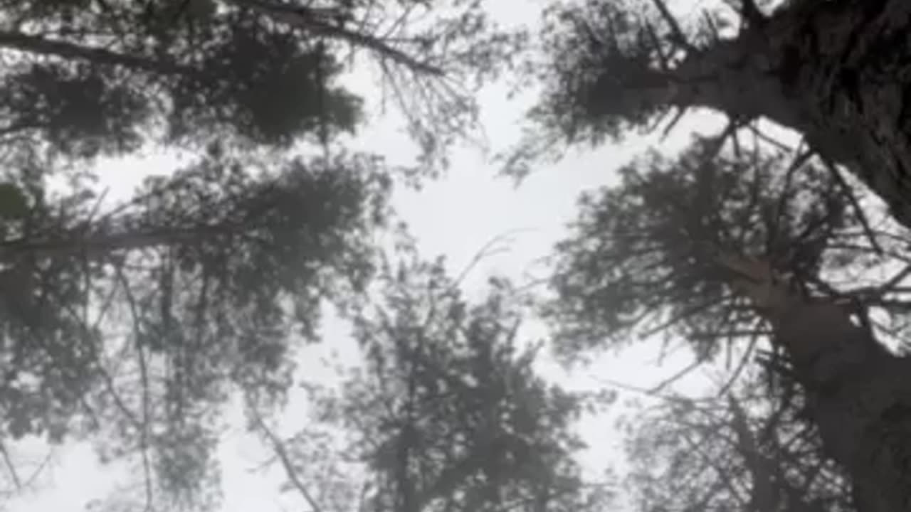 🩸❤ Ukraine War | Supporting Jen, the Combat Medic | RCF