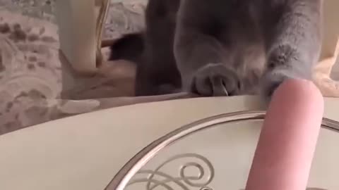 When you have way too many options