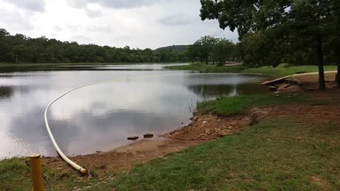 Maxine and I explore Red Bud Oak Swimming Area at Okmulgee Lake in Oklahoma