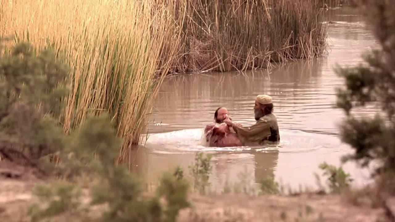 Respostas - Gerson Cardozo