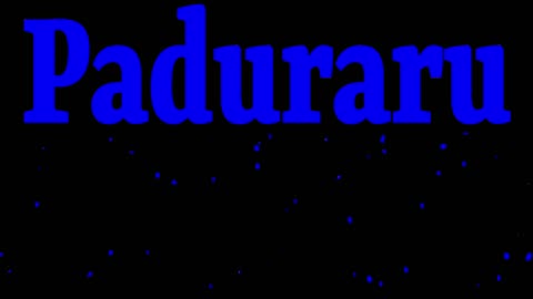 Paduraru Hymnastics 2501