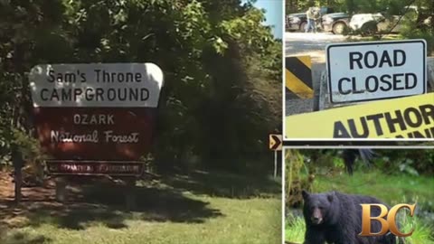 Days after sending bear photos to his family, man found dead in animal attack