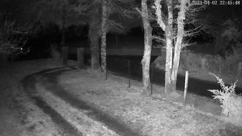 🤔👀 Do You See What I See? Paranormal Videos | TheHauntingHour