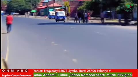 Oduu Ganama ONM-ABO Sadaasa 9-2025 itti dhiyaadhaa!