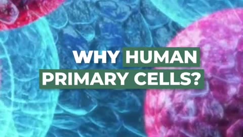 Why Human Primary Cells?