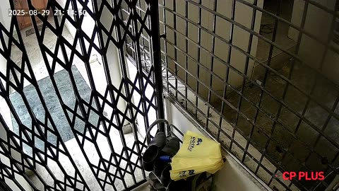 😱👻 Can Anyone Explain This Activity Captured Yesterday? | TheHauntingHour