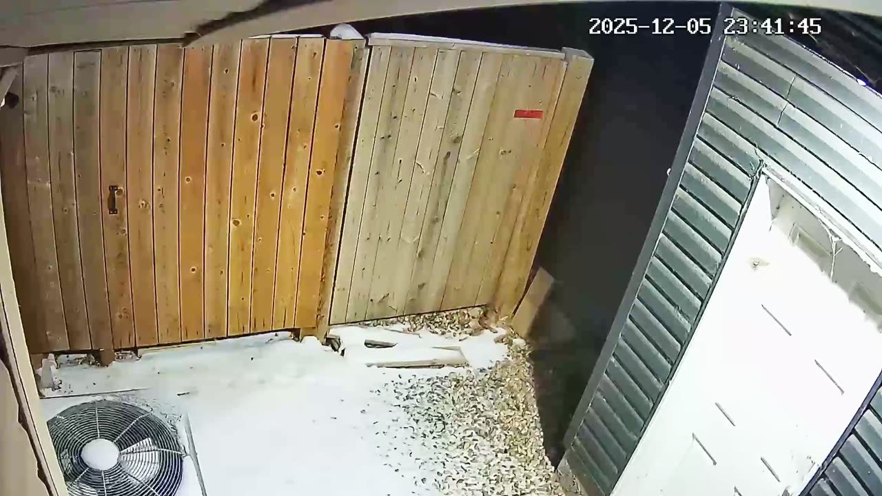 What is it? I had an alert on my camera last night and i found this.