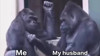 More Romantic?