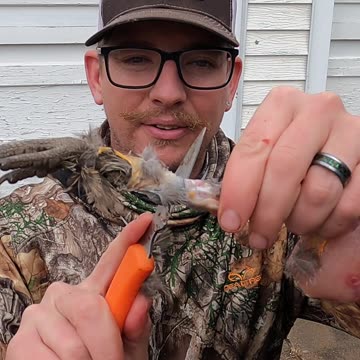 How To Remove Pheasant Leg Tendons