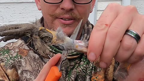 How To Remove Pheasant Leg Tendons