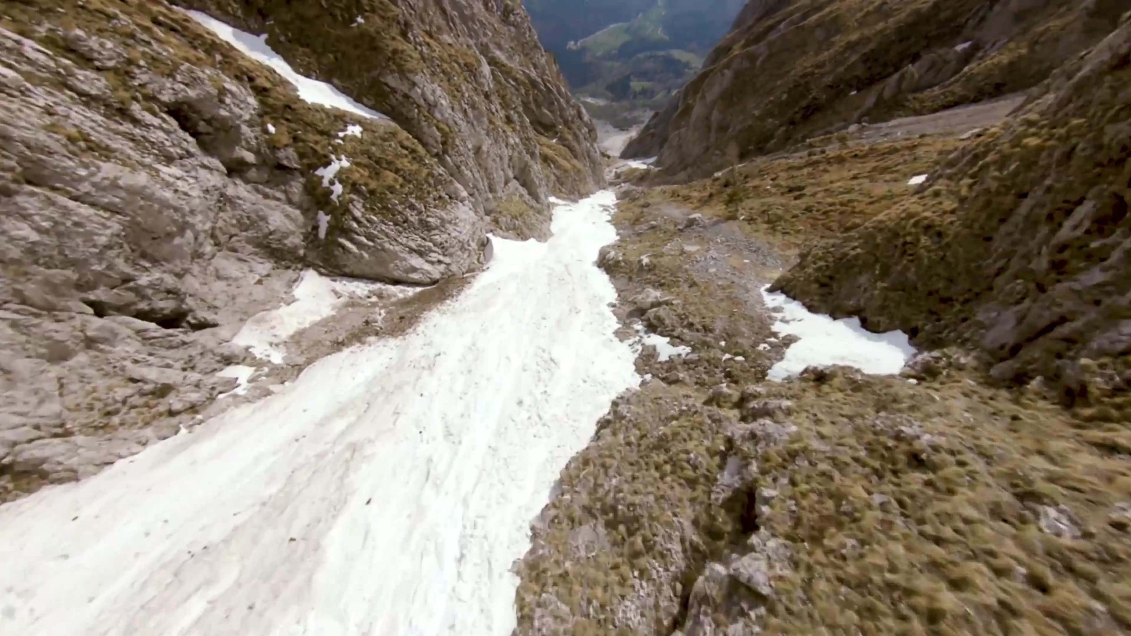 Labrats - Soaring Dreams