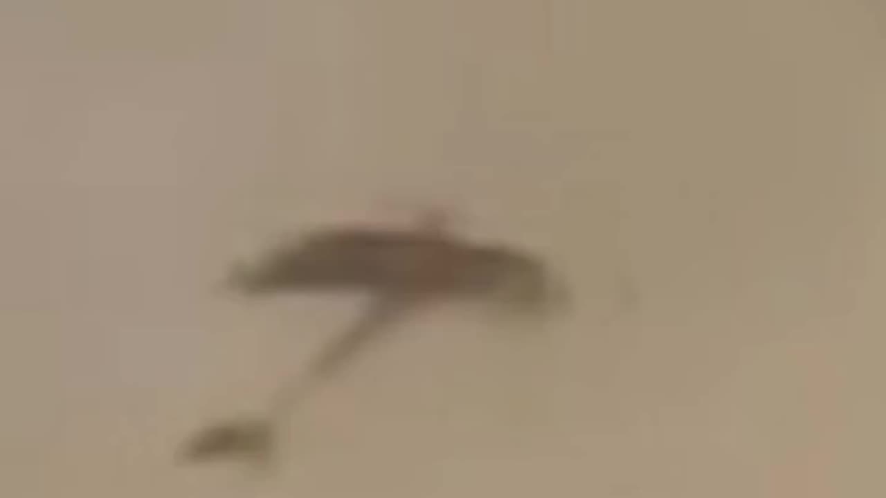 VANILLA SKIES HAVE THE PURPOSE OF HIDING ADVANCED OLD WORLD AIRCRAFT