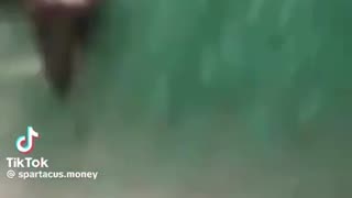 😂👊 Karma Strikes Back! He deserved it | FunFM