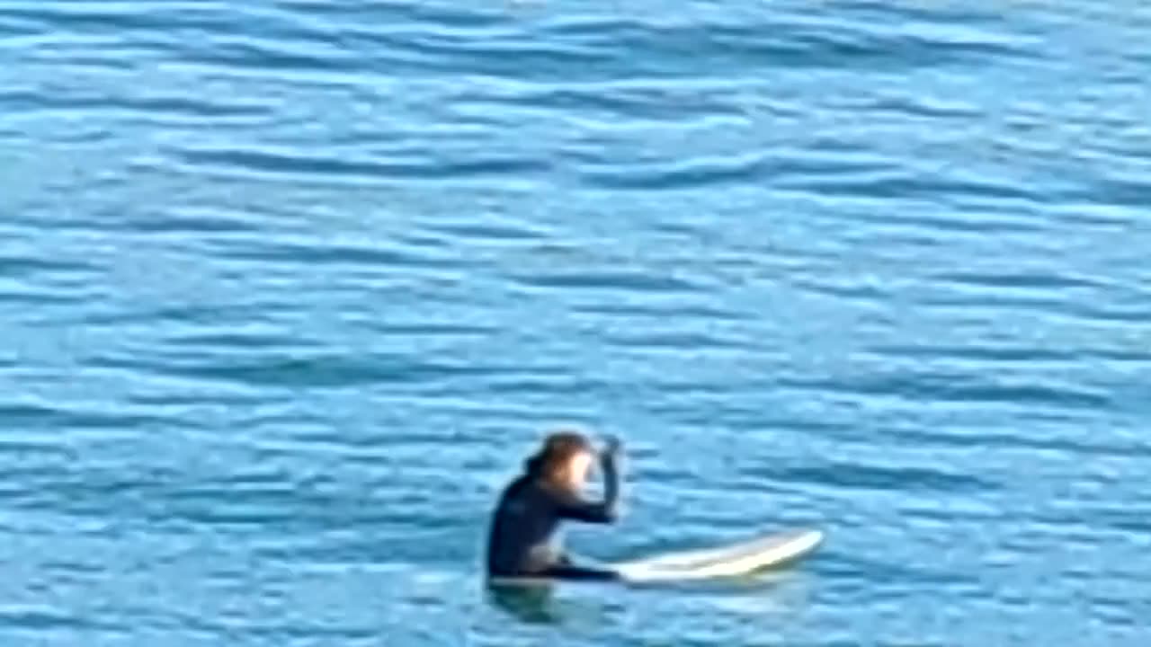 A nice winter day 12/11/25: