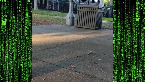 St pete police Harassing the Homeless people ~ Homeless Outreach out of town ~