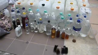 licor