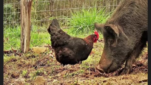 Coloquio Del 14 De Diciembre Del 2025