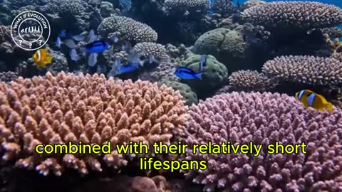 What if Octopuses Developed Complex Language and Technology