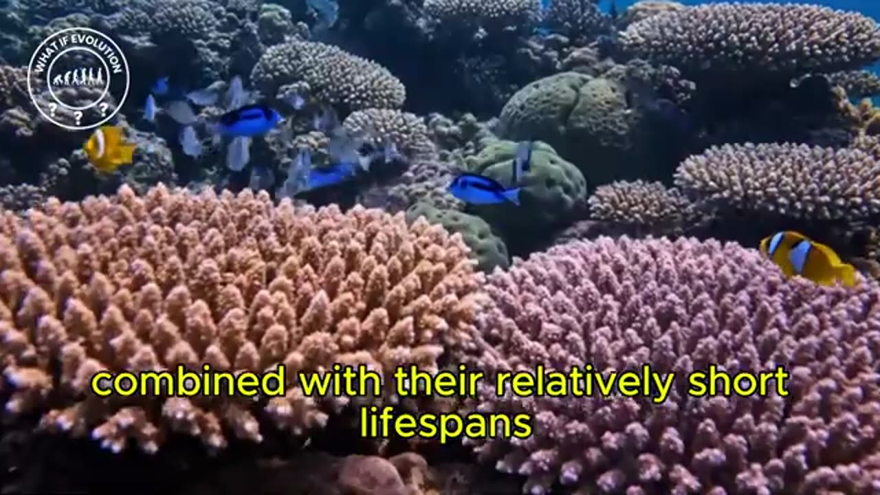 What if Octopuses Developed Complex Language and Technology
