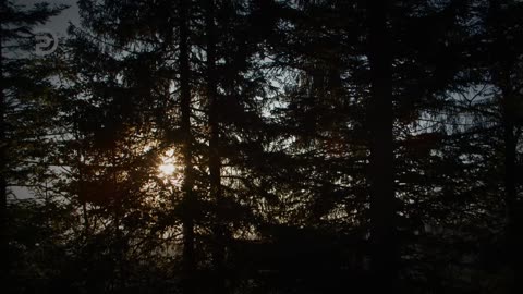 Escape From This Evil Age | Derek Prince