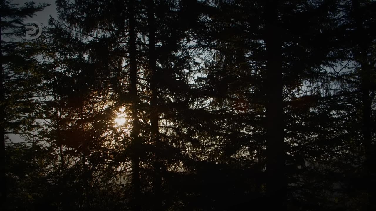 Escape From This Evil Age | Derek Prince